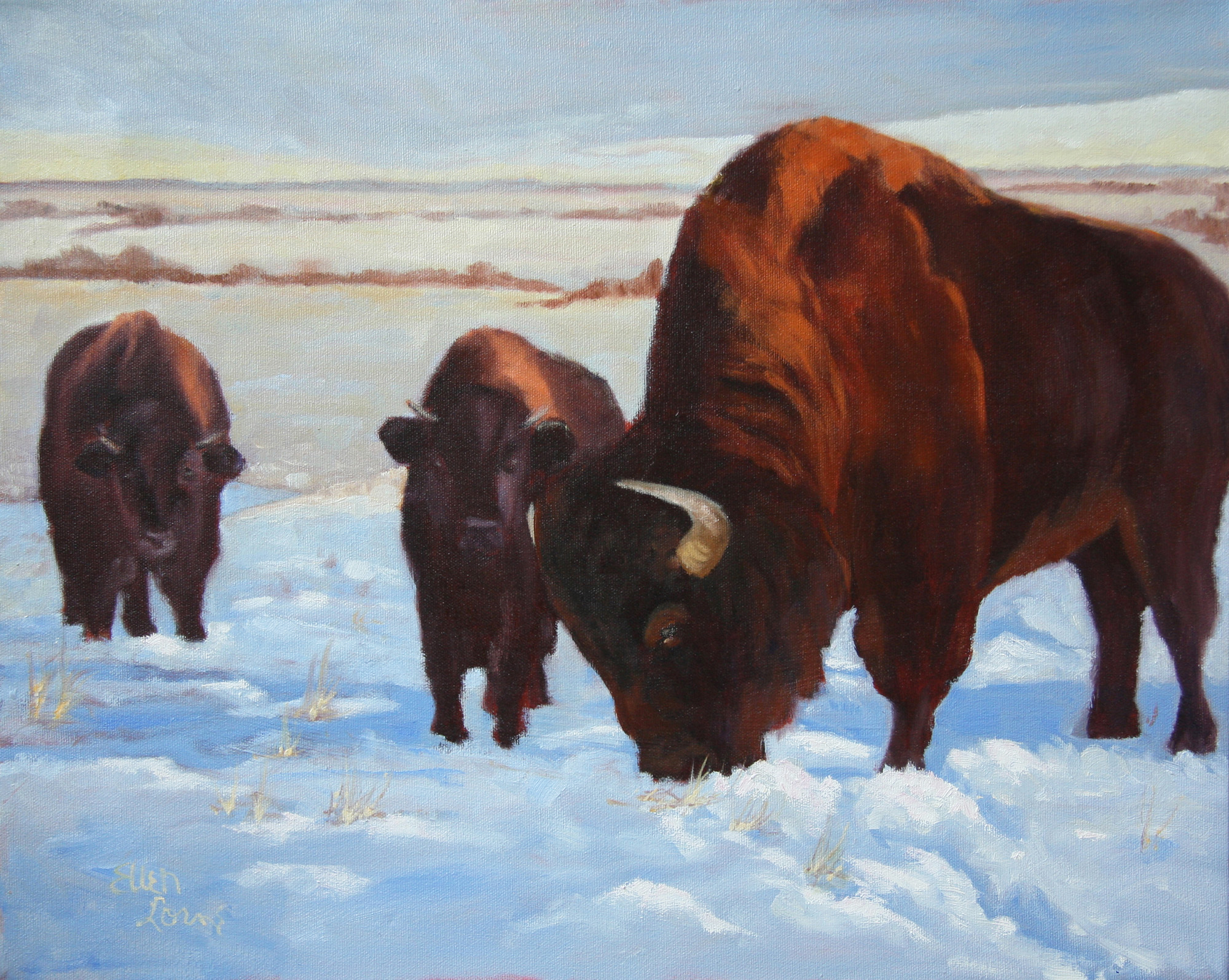 Oil painting by Ellen Lorne — Buffalo in Winter